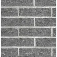 Guber Vormauersteine